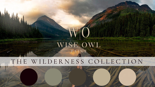 *NEW* One Hour Enamel: The Wilderness Collection